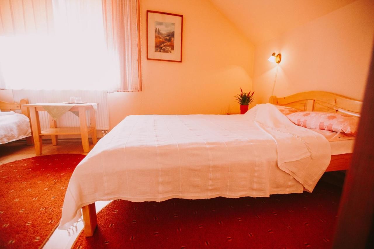 Отели типа «постель и завтрак» Bosnyák Panzió Одорхею-Секуеск-27