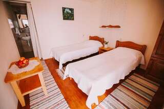 Отели типа «постель и завтрак» Bosnyák Panzió Одорхею-Секуеск Стандартный двухместный номер с 2 отдельными кроватями-3
