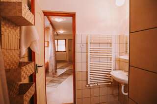 Отели типа «постель и завтрак» Bosnyák Panzió Одорхею-Секуеск Четырехместный номер эконом-класса с общей ванной комнатой-3